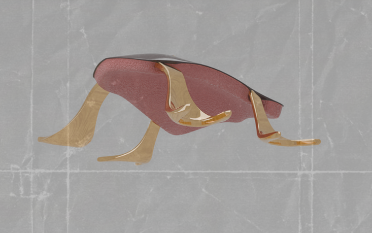 Workshop Feature Image